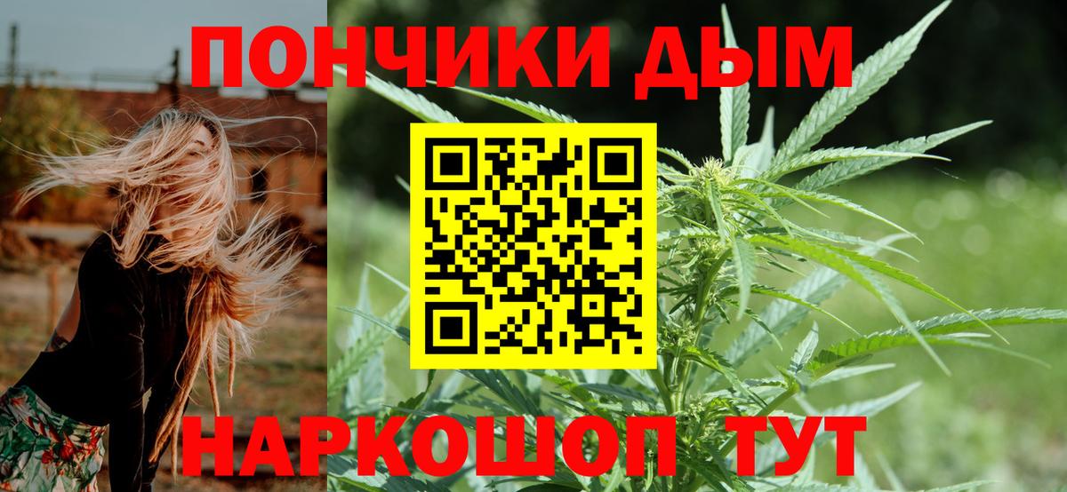 Конопля сатива Черногорск